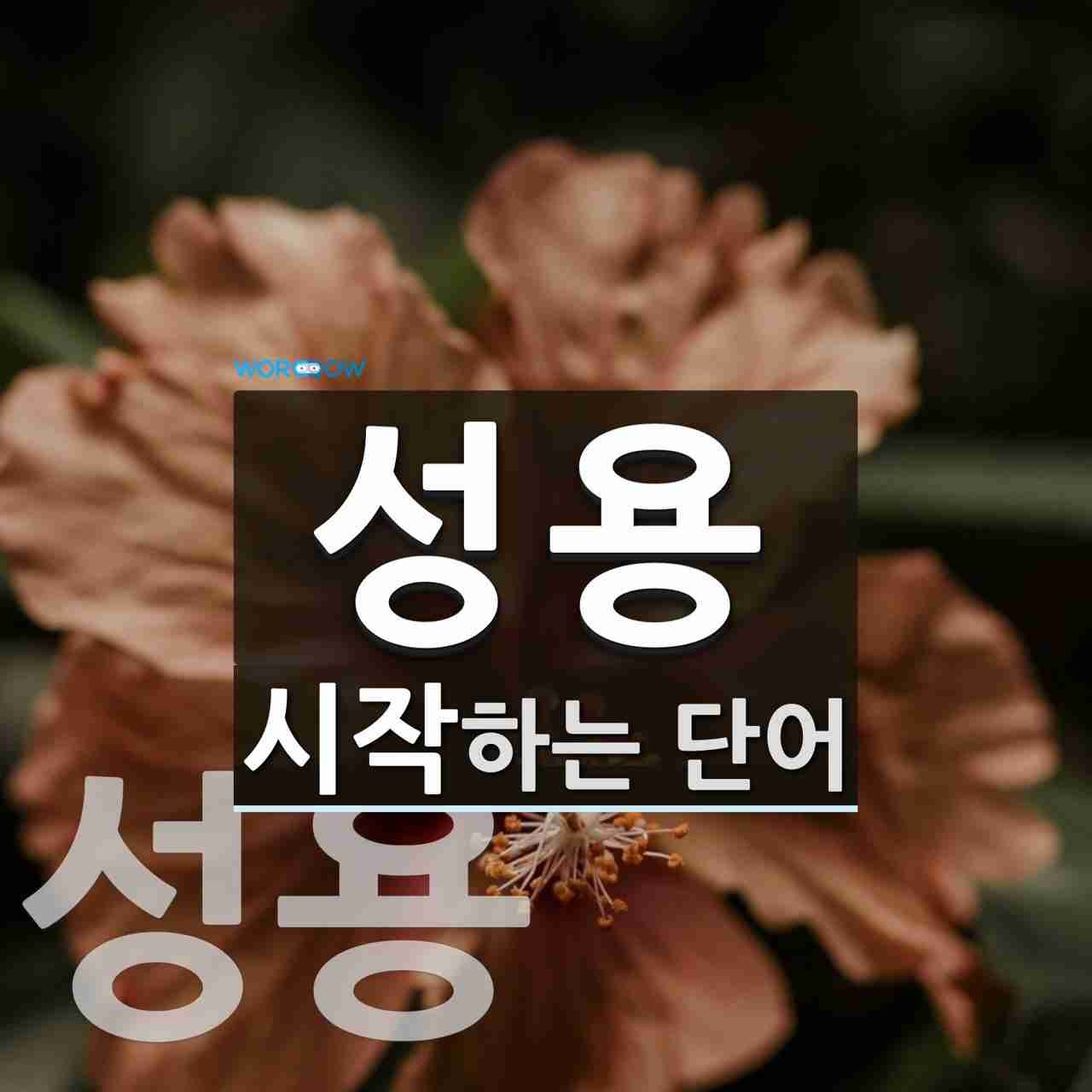 쓰리콤보 개그맨 성용, 35세 갑작스레 사망…팬들의 슬픔