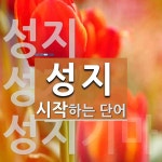 성지로 시작하는 단어는? 12개
