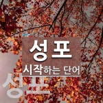 성포로 시작하는 단어는? 2개