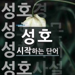 성호로 시작하는 단어는? 7개