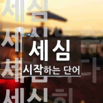 세심으로 시작하는 단어는? 7개