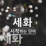 세화로 시작하는 단어는? 3개