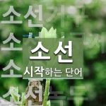 소선으로 시작하는 단어는? 11개