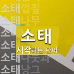 소태로 시작하는 단어는? 14개