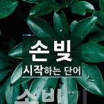 손빚 시작 단어