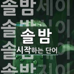 솔밤으로 시작하는 단어는? 4개