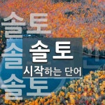 솔토로 시작하는 단어는? 3개
