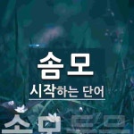 "솜모" 시작 단어