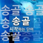 송골 시작 단어