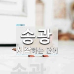 송광 시작 단어