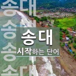 송대로 시작하는 단어는? 4개