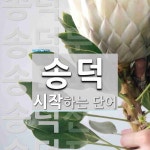 송덕으로 시작하는 단어는? 8개