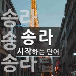 송라로 시작하는 단어는? 3개