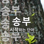 송부로 시작하는 단어는? 7개