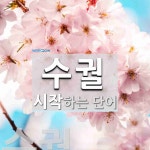 수궐로 시작하는 단어는? 1개