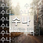 수나로 시작하는 단어는? 15개