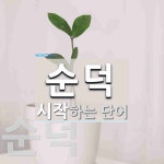 순덕으로 시작하는 단어는? 3개