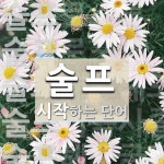 술프로 시작하는 단어는? 5개