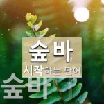 숲바로 시작하는 단어는? 2개