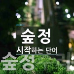 숲정 시작 단어