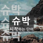 슈박으로 시작하는 단어는? 3개