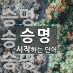 승명으로 시작하는 네 글자 단어는? 1개