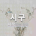 시구로 시작하는 단어는? 36개