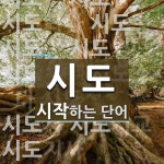 시도 시작 단어