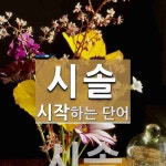 시솔 시작 단어