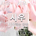 시우로 시작하는 단어는? 13개