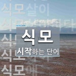 식모로 시작하는 단어는? 10개