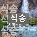 식송으로 시작하는 단어는? 3개