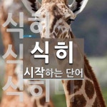 식히로 시작하는 단어는? 3개