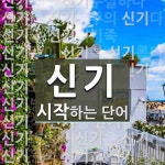 신기로 시작하는 단어는? 46개