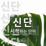 신단으로 시작하는 단어는? 6개