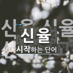 신율 시작 단어