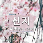 신지로 시작하는 단어는? 22개