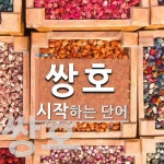 쌍호로 시작하는 단어는? 2개