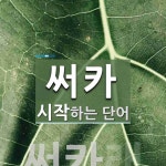 써카 시작 단어