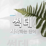 썩데 시작 단어