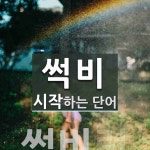 썩비로 시작하는 단어는? 1개