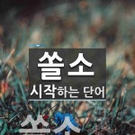 쏠소로 시작하는 단어는? 1개