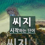 씨지로 시작하는 단어는? 1개