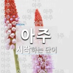 아주로 시작하는 단어는? 63개