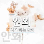 안외로 시작하는 단어는? 2개