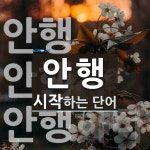 안행 시작 단어