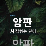 암판으로 시작하는 두 글자 단어는? 1개