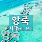 앙죽 시작 단어
