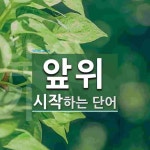 앞위로 시작하는 단어는? 9개
