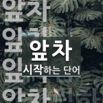 앞차로 시작하는 단어는? 8개